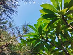 -李叔同故居纪念馆