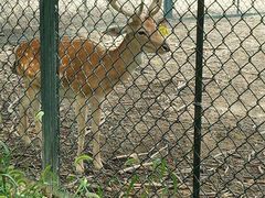 -武汉紫薇都市田园