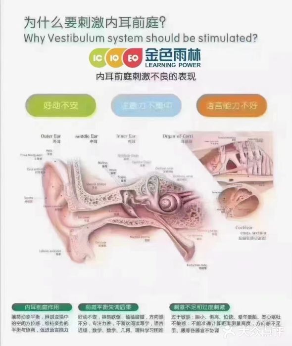 金色雨林学习力培优(专注力提升)图片