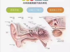 -金色雨林学习力培优(专注力提升)