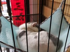 -四季暖堂·融合江浙菜(N1955创业园店)