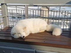 -滨州铁路桥