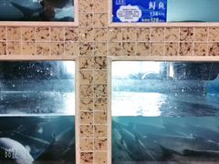 -大河宴·椒麻鱼火锅(克拉玛依西路头宫店)