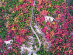 -龙口南山旅游景区