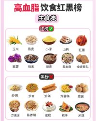 -Fundi张玉珊修身堂·indiba·BTL科技瘦身