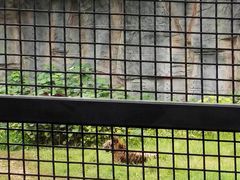 -武汉动物园