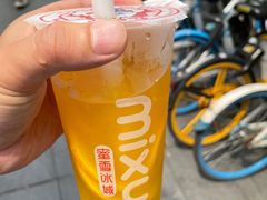 -蜜雪冰城(国权路地铁口店)