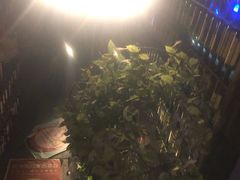 -胡桃里音乐酒馆(环亚凯瑟琳广场店)
