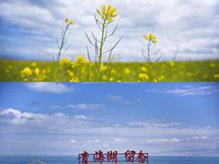 -青海湖国家重点风景名胜区