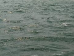 -黄河小浪底水利枢纽风景区