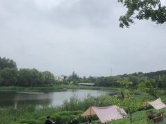 -熙古里艺术村