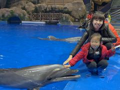 -芜湖新华联大白鲸海洋公园