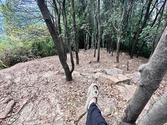 -火炉山森林公园