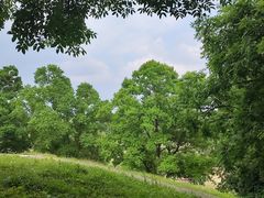 -钟山体育运动公园