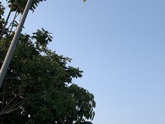 -深圳湾公园(南山区)