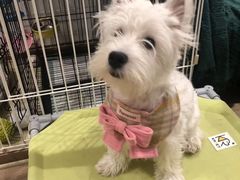 -上海小南国(国发店)