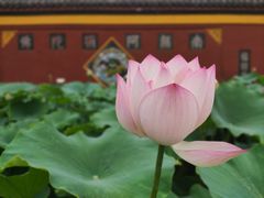 -宝光寺
