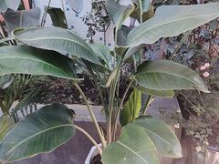-汇点煌餐厅