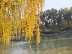 -中国农业博物馆
