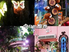 -正佳雨林生态植物园