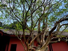 -剑门关风景区