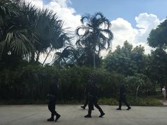 -鱼尾狮公园