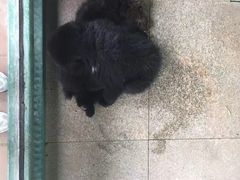 -秦皇岛野生动物园