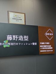 -藤野造型烫染