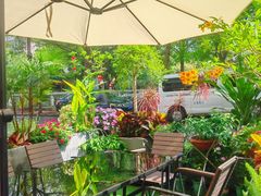 -山水茶艺馆·点心粤菜·30年老字号