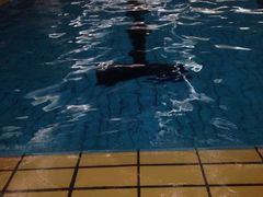 -齐汇维景大酒店游泳馆(山东政协大厦齐汇维景)