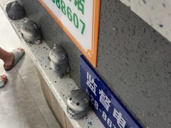 -半岛宠物医院24小时(白果林店)