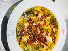 -姚姚酸菜鱼·金戈戈香港豉油鸡(喜荟城联名店)