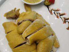 -金苑喜宴