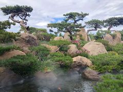 -罗红摄影艺术馆