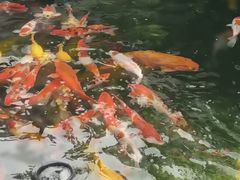 -长春观