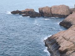 -枸杞岛