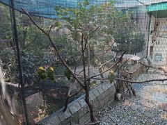 -九龙公园