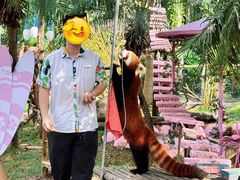 -灵玲国际马戏城
