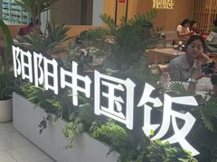 -阳阳中国饭(龙湖大兴天街)