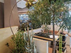 -山缓缓火锅(苏州仁恒仓街店)