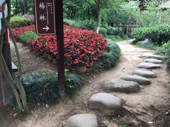 -白马涧龙池景区