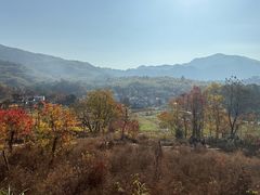 -塔川景区