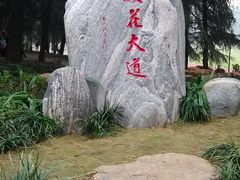 -武汉大学-樱园