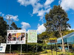 -Torch Coffee 炬点咖啡