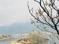 -黄牛肉馆·皖南土菜