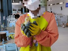 -怪兽屋·羊驼·猫咖·狗咖(俊华广场店)