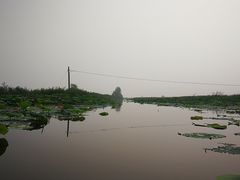 -白洋淀景区