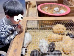 -酷嗒动物文化乐园(cutezoo西溪乐天城店)