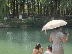 -乌镇东栅景区