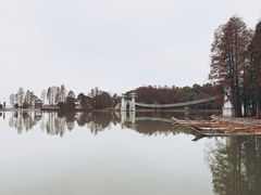 -东湖落雁景区